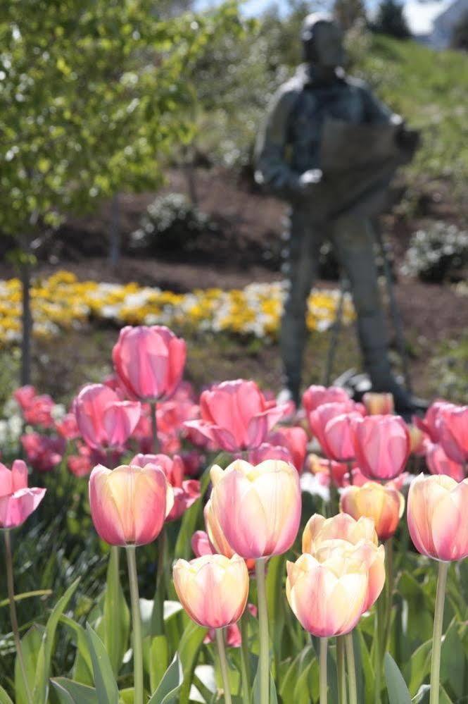 University Of Virginia Inn At Darden Шарлотсвил Екстериор снимка